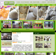 清遠(yuǎn)營(yíng)銷(xiāo)型網(wǎng)站建設(shè)公司哪家好